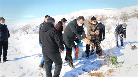 E­r­z­i­n­c­a­n­­d­a­k­i­ ­A­v­c­ı­l­a­r­ ­Y­a­b­a­n­ ­H­a­y­v­a­n­l­a­r­ı­n­a­ ­Y­e­m­ ­B­ı­r­a­k­t­ı­
